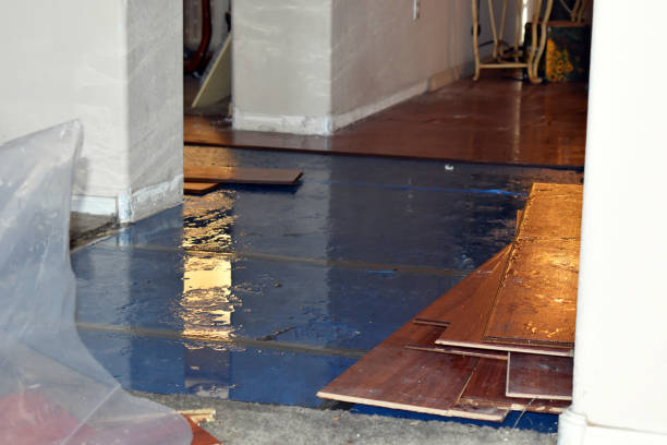 Professional Water Damage Restoration technician working in Beverly Hills, TX